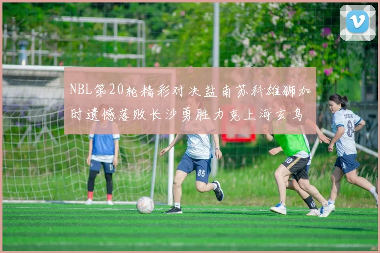 NBL第20轮精彩对决盐南苏科雄狮加时遗憾落败长沙勇胜力克上海玄鸟